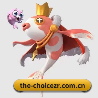 the-choicezr.com.cn APP